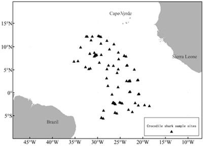 Age, Growth, and Sexual Maturity of the Crocodile Shark, Pseudocarcharias kamoharai, From the Eastern Atlantic Ocean